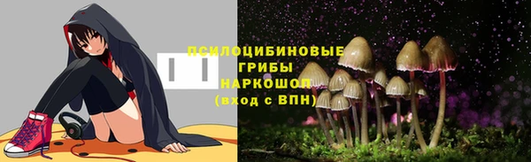 сатива Переславль-Залесский