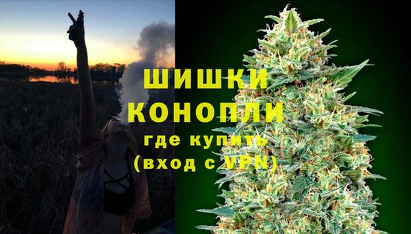 сатива Переславль-Залесский