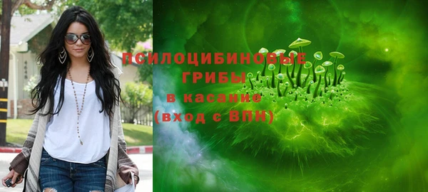 амф Пересвет